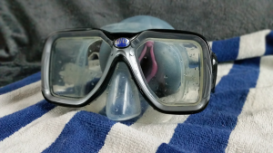 anthro shark looking through goggles