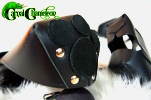 Stockroom Pup Hood and Mitts